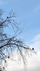 PXL_20230220_204721898.jpg